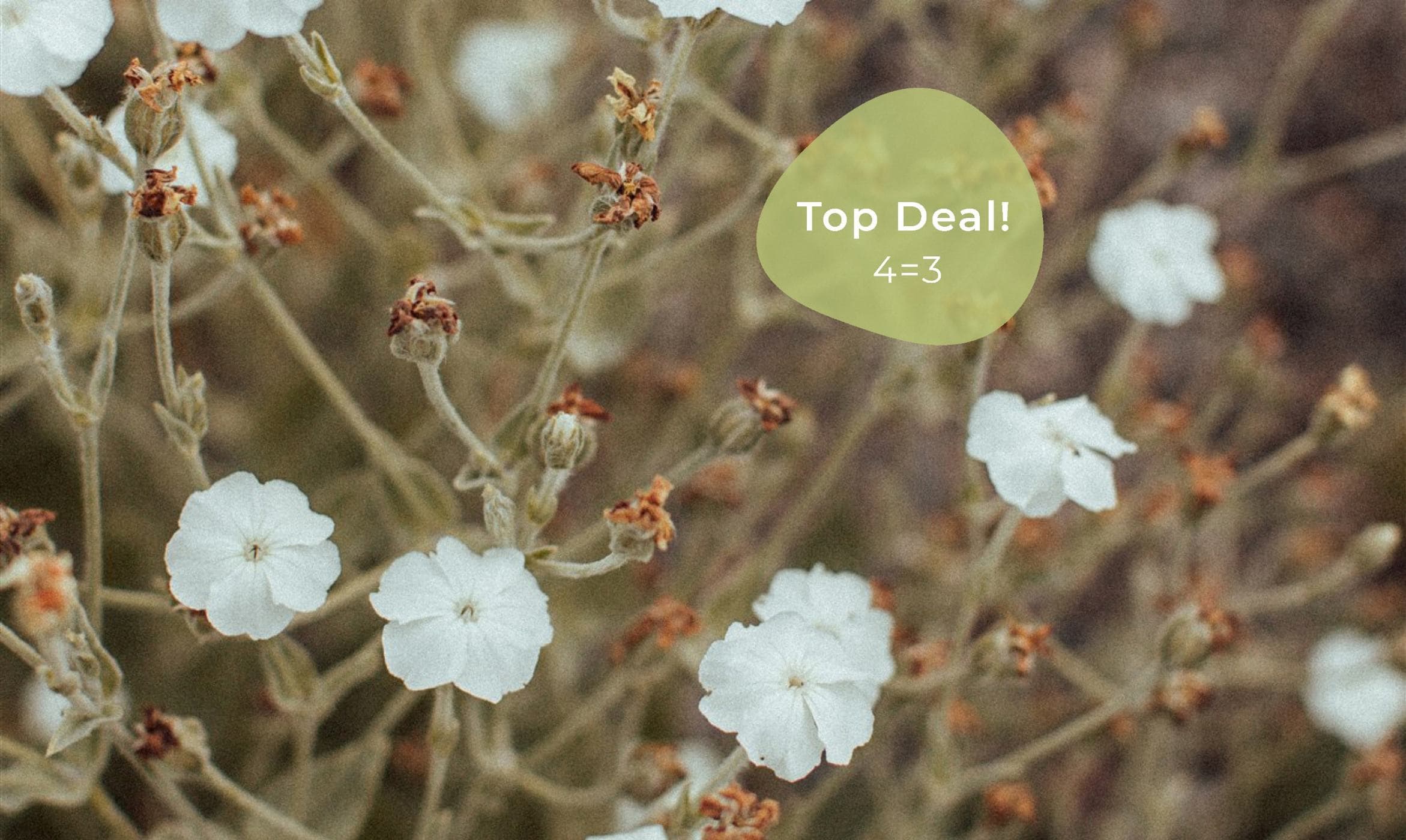 Top Deal 4=3